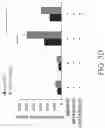 Fig. 18 - TROPHOBLAST STEM CELL, METHODS OF PREPARATION AND USES THEREOF