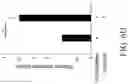Fig. 31 - TROPHOBLAST STEM CELL, METHODS OF PREPARATION AND USES THEREOF