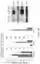 Fig. 41 - TROPHOBLAST STEM CELL, METHODS OF PREPARATION AND USES THEREOF