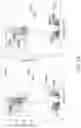 Fig. 45 - TROPHOBLAST STEM CELL, METHODS OF PREPARATION AND USES THEREOF