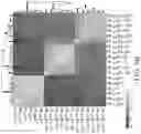 Fig. 46 - TROPHOBLAST STEM CELL, METHODS OF PREPARATION AND USES THEREOF