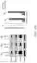 Fig. 55 - TROPHOBLAST STEM CELL, METHODS OF PREPARATION AND USES THEREOF
