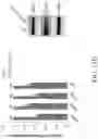 Fig. 61 - TROPHOBLAST STEM CELL, METHODS OF PREPARATION AND USES THEREOF