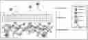 Fig. 01 - COMPOSITIONS AND METHODS FOR DIAGNOSING ACUTE INFECTIOUS PERITONITIS