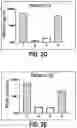 Fig. 05 - COMPOSITIONS AND METHODS FOR DIAGNOSING ACUTE INFECTIOUS PERITONITIS