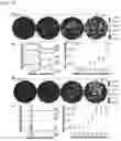 Fig. 03 - METHOD FOR DIAGNOSING ALZHEIMER'S DISEASE USING SILVER NANOGAP SHELL