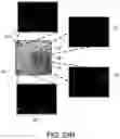 Fig. 36 - Compound distribution in microfluidic devices
