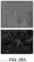 Fig. 40 - Compound distribution in microfluidic devices
