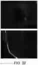 Fig. 46 - Compound distribution in microfluidic devices