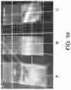 Fig. 49 - Compound distribution in microfluidic devices