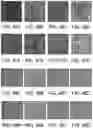 Fig. 63 - Compound distribution in microfluidic devices
