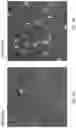 Fig. 04 - SYSTEM AND METHOD FOR AUTONOMOUS SCANNING PROBE MICROSCOPY WITH IN-SITU TIP CONDITIONING