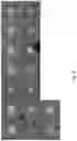 Fig. 05 - SYSTEM AND METHOD FOR AUTONOMOUS SCANNING PROBE MICROSCOPY WITH IN-SITU TIP CONDITIONING