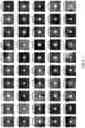 Fig. 09 - SYSTEM AND METHOD FOR AUTONOMOUS SCANNING PROBE MICROSCOPY WITH IN-SITU TIP CONDITIONING