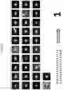 Fig. 21 - SYSTEM AND METHOD FOR AUTONOMOUS SCANNING PROBE MICROSCOPY WITH IN-SITU TIP CONDITIONING