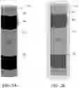 Fig. 03 - Elastomer sensor clamping