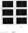 Fig. 08 - Passive magnetic detection and discrimination for security screening