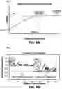Fig. 09 - SECONDARY RECOVERY SURVEILLANCE USING VALIDATED STREAMLINE-BASED SIMULATION