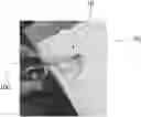 Fig. 01 - LIGHT FILTERING LENSES
