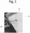 Fig. 02 - LIGHT FILTERING LENSES