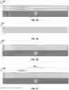 Fig. 03 - Deformable photonic materials and related methods