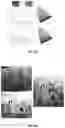 Fig. 07 - Deformable photonic materials and related methods
