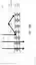 Fig. 24 - Stacked waveguides having different diffraction gratings for combined field of view