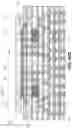 Fig. 41 - HIGH BANDWIDTH OPTICAL INTERCONNECTION ARCHITECTURES