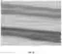 Fig. 09 - Flexible optical-fiber ribbon