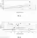 Fig. 12 - Flexible optical-fiber ribbon