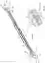 Fig. 16 - Adapter structure