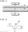 Fig. 06 - MEDICAL OBSERVATION SYSTEM