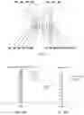 Fig. 08 - Optical imaging lens