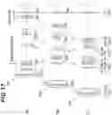 Fig. 42 - Zoom optical system, optical apparatus and method for manufacturing the zoom optical system