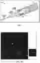 Fig. 03 - Ultra-compact folded-beam path confocal endomicroscope