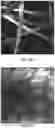 Fig. 05 - Ultra-compact folded-beam path confocal endomicroscope