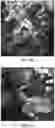 Fig. 06 - Ultra-compact folded-beam path confocal endomicroscope