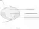 Fig. 20 - Multi-depth exit pupil expander
