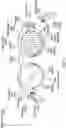 Fig. 04 - Audio visualizer eyewear device