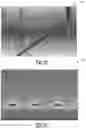 Fig. 12 - Display system