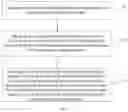 Fig. 02 - Wire grid structure and manufacturing method therefor, and projection screen