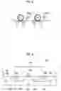 Fig. 04 - ON-PRESS DEVELOPMENT TYPE LITHOGRAPHIC PRINTING PLATE PRECURSOR, METHOD FOR PREPARING LITHOGRAPHIC PRINTING PLATE, AND LITHOGRAPHIC PRINTING METHOD