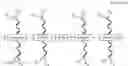 Fig. 12 - PHOTO-PATTERNABLE CROSS-BRED ORGANIC SEMICONDUCTOR POLYMERS FOR ORGANIC THIN-FILM TRANSISTORS