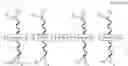 Fig. 33 - PHOTO-PATTERNABLE CROSS-BRED ORGANIC SEMICONDUCTOR POLYMERS FOR ORGANIC THIN-FILM TRANSISTORS