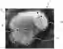 Fig. 01 - TONER, DEVELOPER, TONER ACCOMMODATING UNIT, IMAGE FORMING APPARATUS, AND IMAGE FORMING METHOD