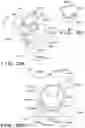 Fig. 34 - Image forming apparatus and developer replenishment thereof