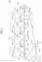 Fig. 02 - Developing apparatus having multi-blade portion replenishment conveyance screw