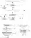 Fig. 06 - Monitoring laundry machine operation using machine learning analysis of acoustic transducer signal information
