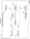 Fig. 10 - Morphic manufacturing