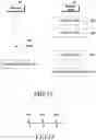 Fig. 23 - Stylus pen, electronic device for recognizing stylus pen, and method for operating same